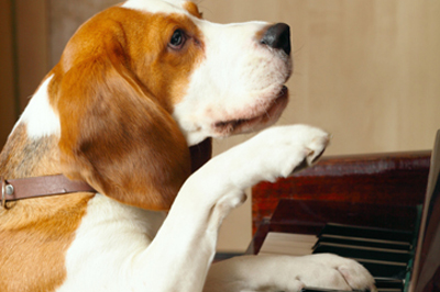 piano teacher